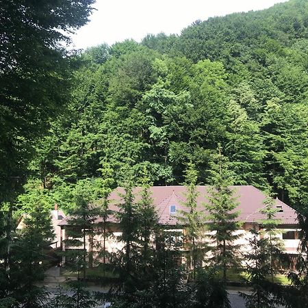 Чорна Вода Lazy Exteriör bild